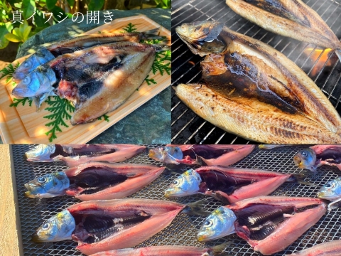 綱元漁師★天日干し干物ギフト箱セット【夏ギフト】