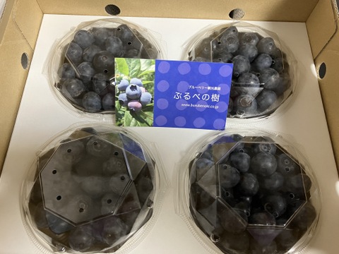 【2025年度】パック入りフレッシュな樹上完熟ブルーベリー　100g×4パック
