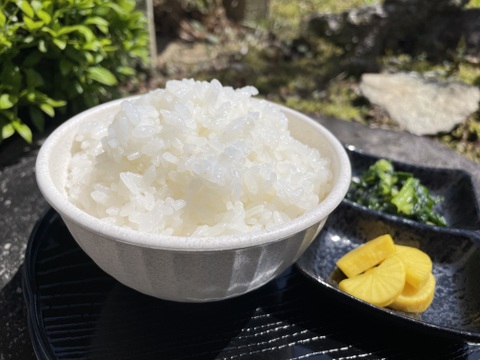 【令和6年新米】 🌾精米5kg 兵庫県丹波産コシヒカリ 甘い！冷めてもおいしいごはん🍚 品位等級検査にて1等級米取得！！