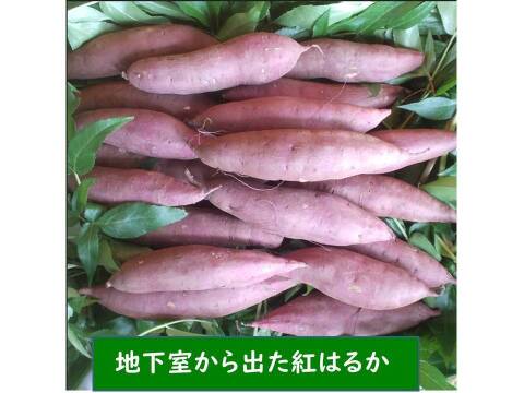 熟成焼芋の蜜を絞り出した天然１００％のシロップ　里山の芋蜜　１００ｇ×３個