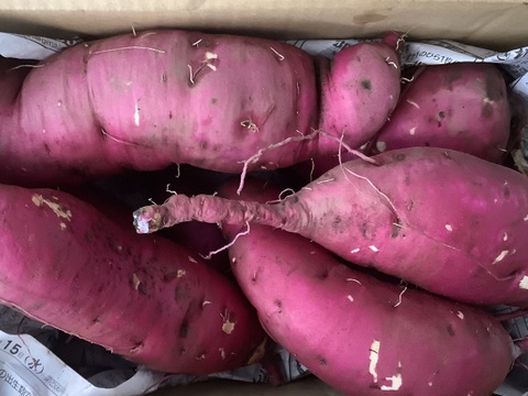 🍠さつまいも　紅はるか🍠　２kg❗️
