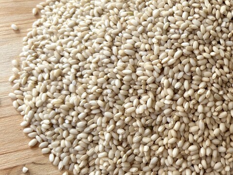 農薬化学肥料不使用『タキタテ』冷めてもモチモチ！玄米10kg令和７年産　信州佐久穂町