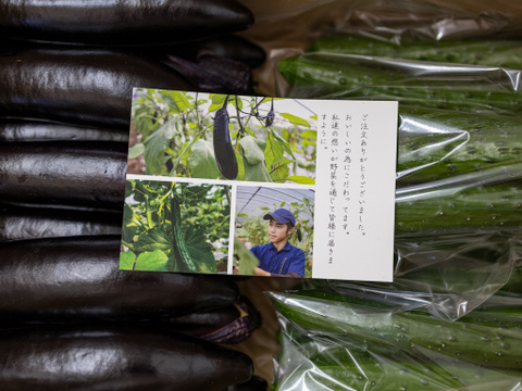 【金の土】胡瓜の一本漬けとナスとキュウリの3点セット