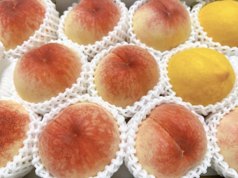 あら川の桃 品種おまかせ 大箱(10～13玉)【秀品】【夏ギフト