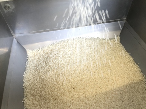 奥養老産コシヒカリ5kg【令和6年産】