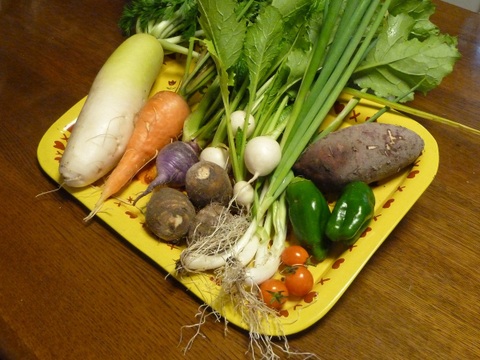 【野菜セットＳ秋冬】お試しサイズの露地野菜