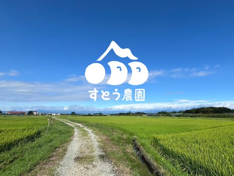 【厳選品】山形県産すとう農園のシャインマスカット（700~900g)1房