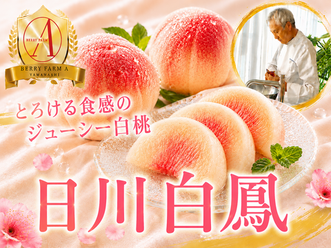 【果汁溢れる王道桃】とろける食感のジューシー桃『日川白鳳』一口で溢れる至福のしずく🍑品種指定キャンペーン🍑お試し約1.5kg【朝どれ】高級もも☆家庭用・贈り物にも贅沢お中元ギフト【6月下旬予約】