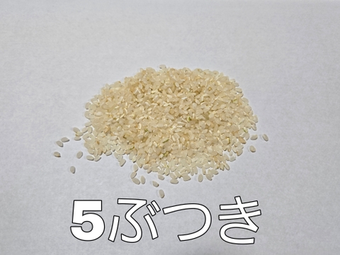 令和6年産 特別栽培米 ササニシキ「うみ幸やま幸」5kg 精米(玄米、3・5・7ぶつき) みえの安心食材認定