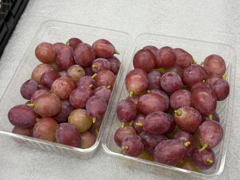 限定価格】400円値引き‼️山梨県産【クイーンニーナ】ご家庭用(訳あり