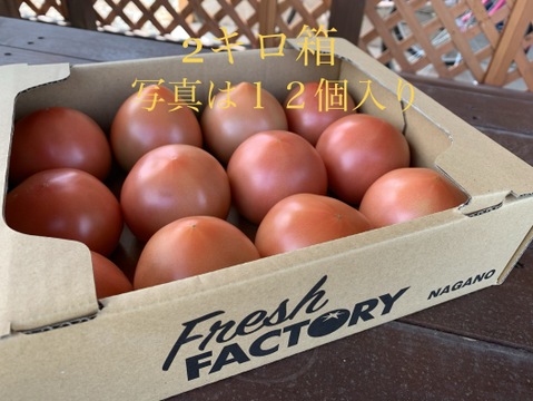 お試しサイズ‼︎2キロ箱満杯詰め『陽の香り』長野の自然が育てた恵　桃太郎トマト