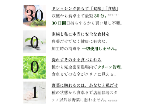 TV出演50本以上！一ヶ月日持ち 洗わない ドレッシング不要│５種常備野菜セット（Tastingサイズ）
