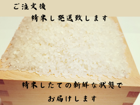 【新米予約】令和6年度産　富山県立山町　立山連峰の麓で育ったコシヒカリ　5kg