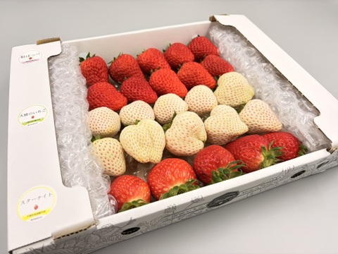 紅白3種サイズ混合800gセット【紅ほっぺ×天使のいちご×おまけ1品種】