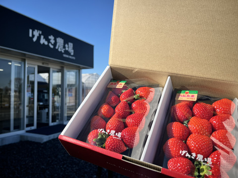 【最高金賞コンビ】「あまりん」「べにたま」贅沢ないちご食べ比べ♪