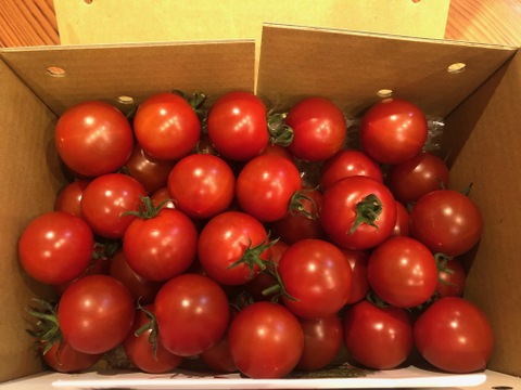 甘さ抜群！フルーツトマト『甘ほっぺ(フルティカ)』3㎏
(1箱1kg×3)