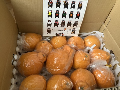 不知火デコ柑3k以上入ってます、サイズコミコミB品小玉多めになります。