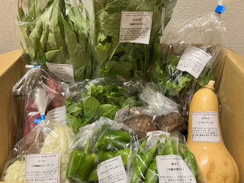 【固定種野菜・農薬不使用】採れたて季節の野菜セットMサイズ