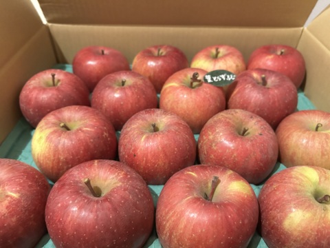 🍎5キロ🍎葉とらずふじ【家庭用】１３玉～２３玉 青森りんご リンゴ 商品ID165766