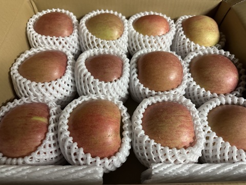 スーパーヘビー級りんご「美丘」約5k箱 「青林」約3kg箱　同梱！