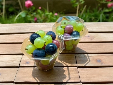 小さなご褒美ーぶどう気ままカップ（２カップ入り）