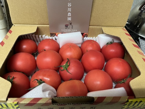 【北海道産】🍅樹上熟3段採り🍅桃太郎トマト2キロ箱〈正品〉