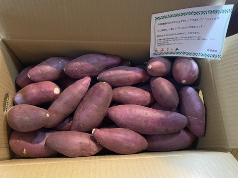 ねっとり極甘さつまいも！熟成紅はるか約5kg（S~2Lサイズ不揃い詰め合わせ）