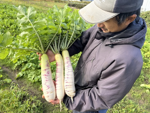 【自然栽培】会津伝統野菜含む5~8品目旬のお野菜セットMサイズ