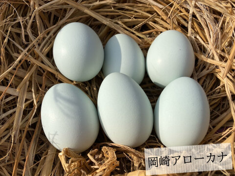 御歳暮［平飼い卵「岡崎アローカナ」 1パック +「バラエティパック」 1パック +特別栽培米「ヒノヒカリ」2㎏ ］223EGG 冬ギフト【新米・令和5年産】
