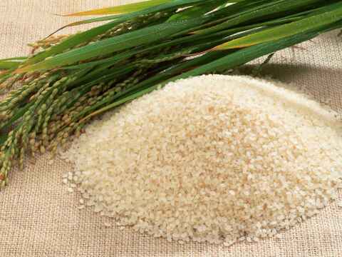 【キラッ☆キラの炊き上がり】
“Kobe Rice”神戸で穫れた宝米、白米で5kgでお届け！土日出荷限定