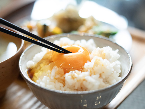 【令和7年新米】【6ヶ月定期】新潟県保内産幻のコシヒカリ 4.8kg