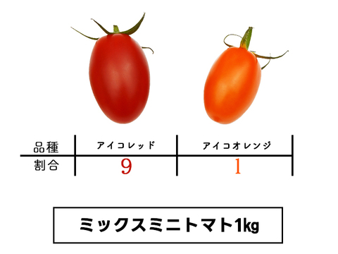 ミニトマト6kgミックス 彩り鮮やか！ミニトマト【ミックス】1kg | 天空彩園