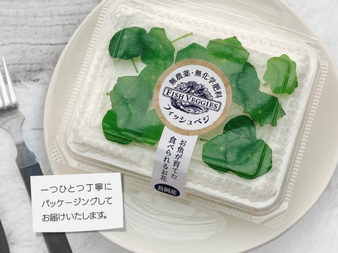 【FISH VEGGIES】ナスタチウムの葉1〜2cm　15枚程度　化学肥料/農薬不使用だから安心して食べられる