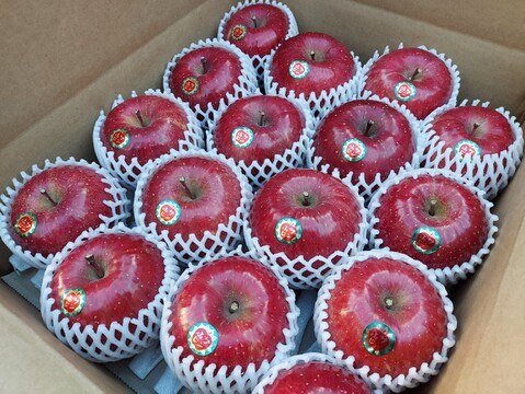 サンふじ　弘前産　【プレミアムスイートサンふじ】「クラスA」 糖度16度以上保証　5㎏　今なら初回キャンペーン20％ＯＦＦ