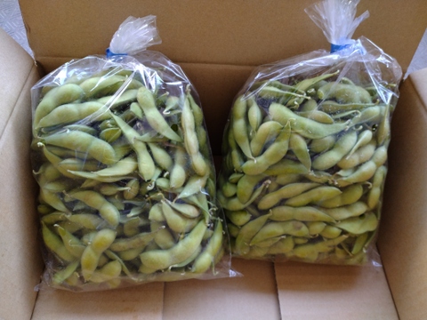 寒暖差のある産地で育てられた、新鮮枝豆！「秋田のいきいき枝豆」700ｇ×2ｐ(令和7年産)