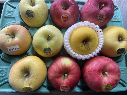 のんちゃんさん専用 ２つまとめてお楽しみBOX：青森県産のその他りんご