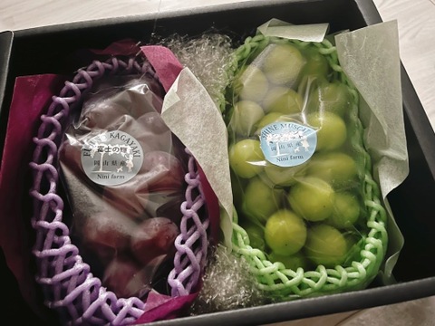 【数量限定】希少品種 富士の輝&シャインマスカット(約1.0kg) 岡山県産 秀品ランク(熨斗対応可) 【夏ギフト】