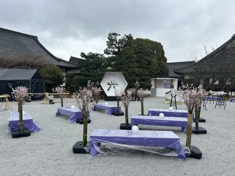 【桜の花束】あと少し！ボリュームたっぷりな桜をご自宅に飾ってみませんか？