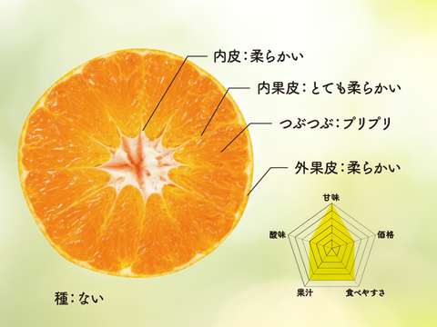 【訳あり】そらデコ 不知火 天空の果樹園 愛媛産デコ不知火 5kg
