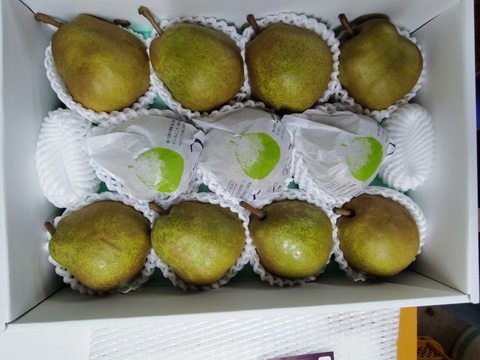 高貴な香り山形ラ・フランス【３Kg】