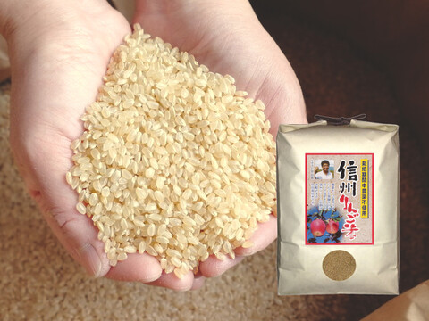 令和5年産【玄米15kg】信州りんご米 こしひかり （5kg×3袋）