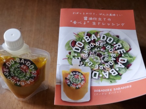 おまかせ野菜とドレッシングのセット【5～8品目程度】