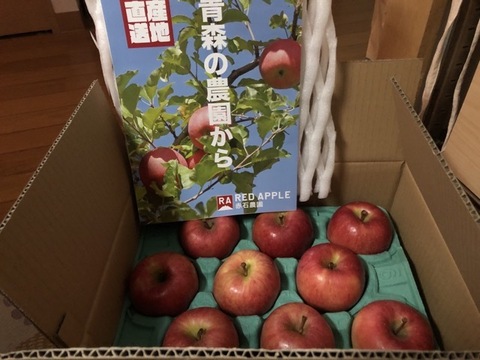 【12月上旬発送予定】こうとく (高徳) 驚きの蜜入りりんご！ 2.5kg (8～12個)