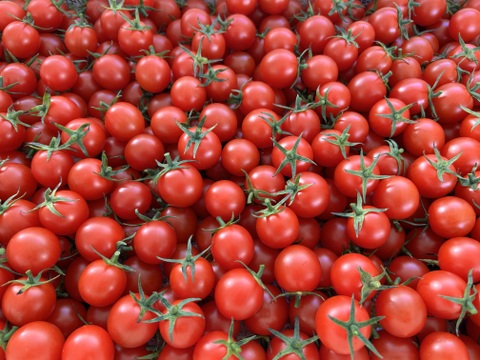 完熟ミニトマト100%ジュース(200mlx9本)濃厚・甘い・飲みやすい