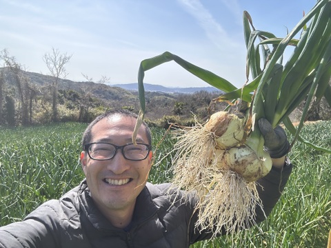 甘くてやわらかい【淡路島産】新玉ねぎ　10kg