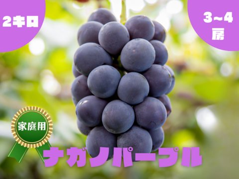 ◯完売御礼◯【家庭用】ナガノパープル　2kg/3~4房