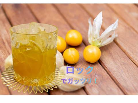 新商品✨陽光の輝き　自然派リキュール🍹ゴールデンベリーリキュール「AUREA TROPICA」200ml×1本入り