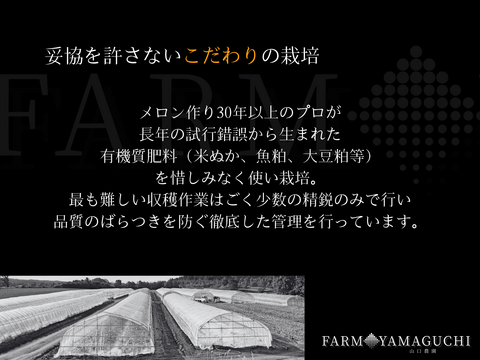 ギフト専門農家から！【北海道メロン】　大箱　８キロ