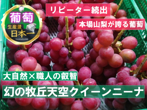 🍇日テレ出演で人気急上昇🍇幻の牧丘天空クイーンニーナ超希少品種でリピーター量産中🍇『2024年11月上旬発送』約2kg4～8房