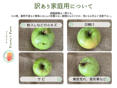 産地直送 アップルパイにオススメ クッキングアップル グラニースミス 3kg 訳あり ご家庭用 化学肥料及び除草剤不使用